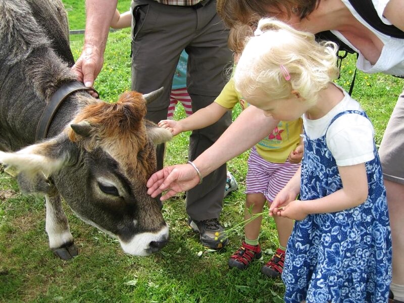 Kinder streicheln eine Kuh am Bauernhof von Haus Hochzeigerblick
