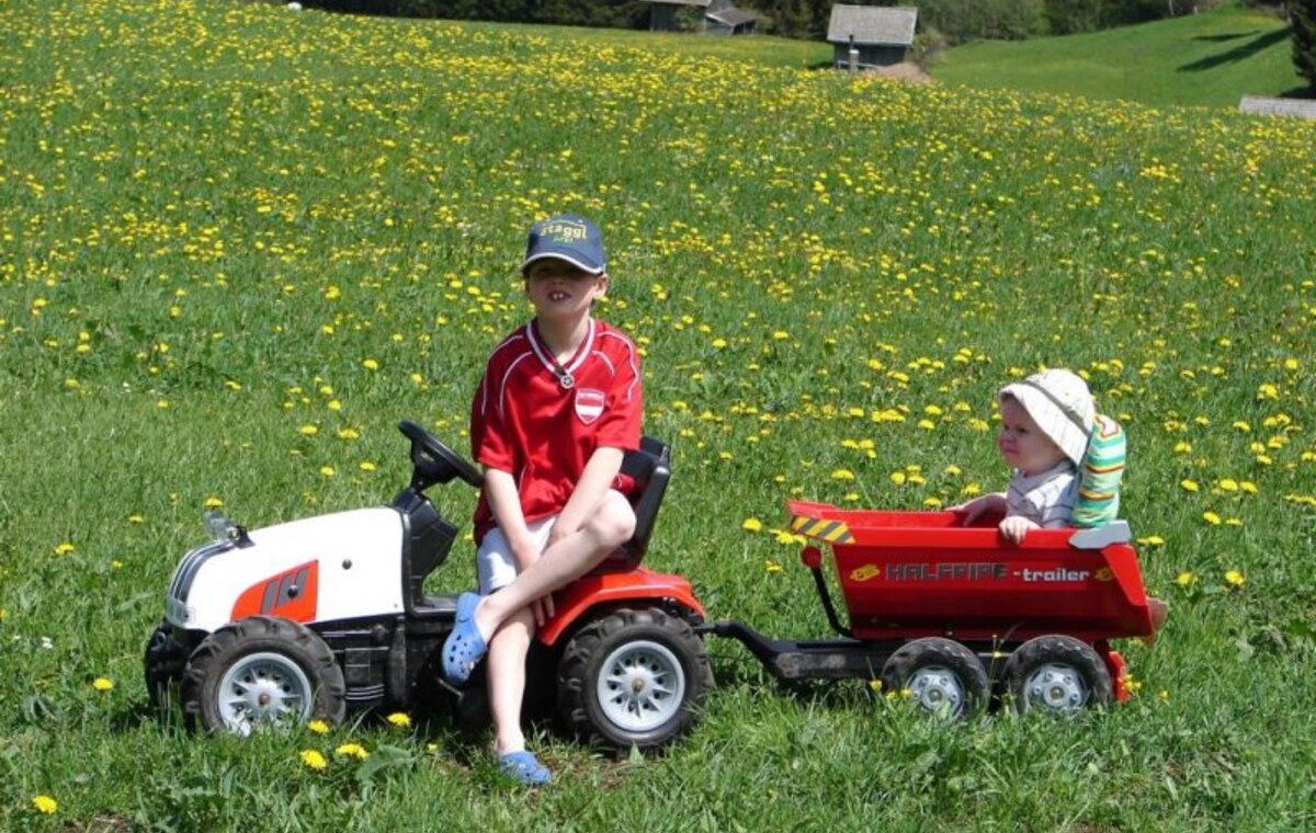 Kinder beim Spielen auf der Wiese am Bauernhof