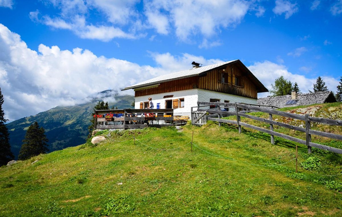 Sommer im Pitztal mit Berglandschaft